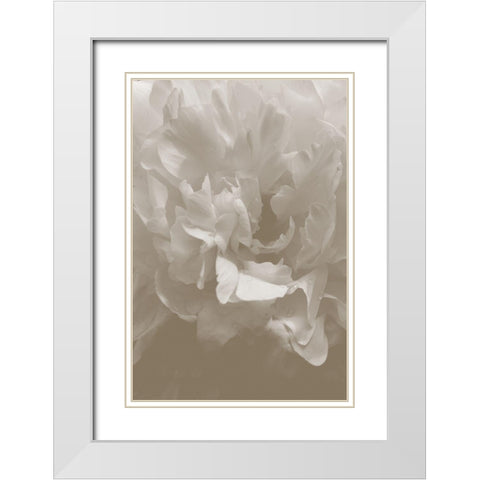 Peony_9 White Modern Wood Framed Art Print with Double Matting by 1x Studio III
