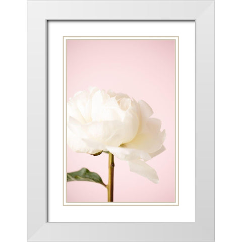 Peony_12 White Modern Wood Framed Art Print with Double Matting by 1x Studio III