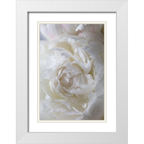 Peony_14 White Modern Wood Framed Art Print with Double Matting by 1x Studio III