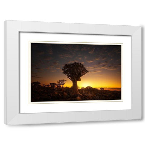 At Sunrise 7R45806 White Modern Wood Framed Art Print with Double Matting by Joanaduenas