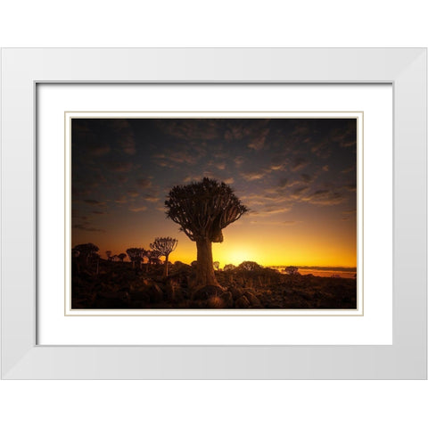 At Sunrise 7R45806 White Modern Wood Framed Art Print with Double Matting by Joanaduenas