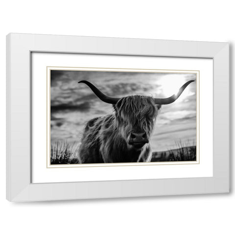 Scottish White Modern Wood Framed Art Print with Double Matting by Kreiten, Mike