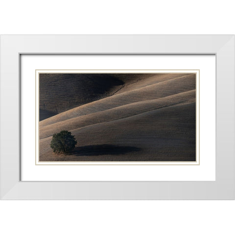 Soon My Shadow Will Dissolve White Modern Wood Framed Art Print with Double Matting by Moretti, Claudio