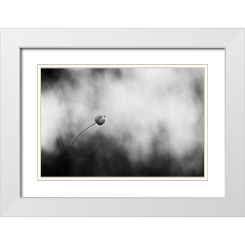 Flax After Flowering White Modern Wood Framed Art Print with Double Matting by Gronkjar, Lotte