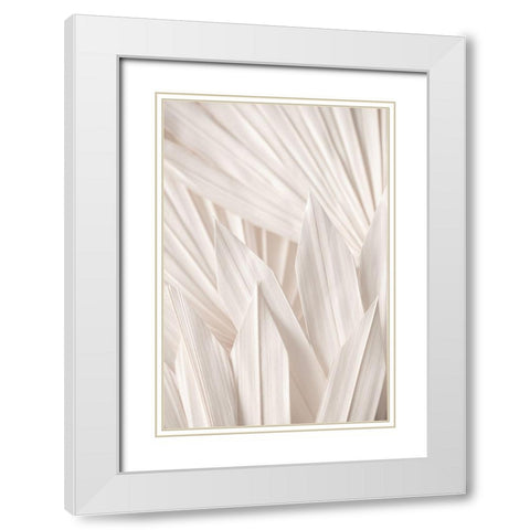 Pattern White Modern Wood Framed Art Print with Double Matting by 1x Studio III