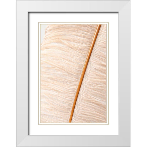 Feather close up_2 White Modern Wood Framed Art Print with Double Matting by 1x Studio III