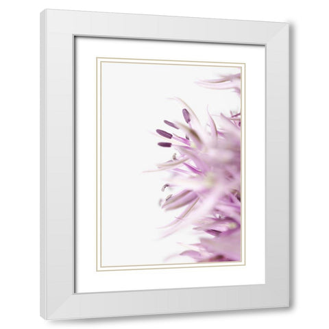 FLOWER PURPLE White Modern Wood Framed Art Print with Double Matting by 1x Studio III