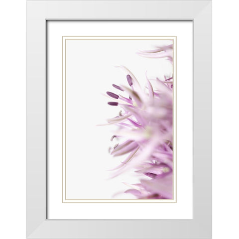 FLOWER PURPLE White Modern Wood Framed Art Print with Double Matting by 1x Studio III