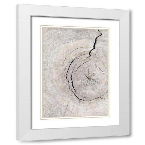 Pattern_Wood_2 White Modern Wood Framed Art Print with Double Matting by 1x Studio III