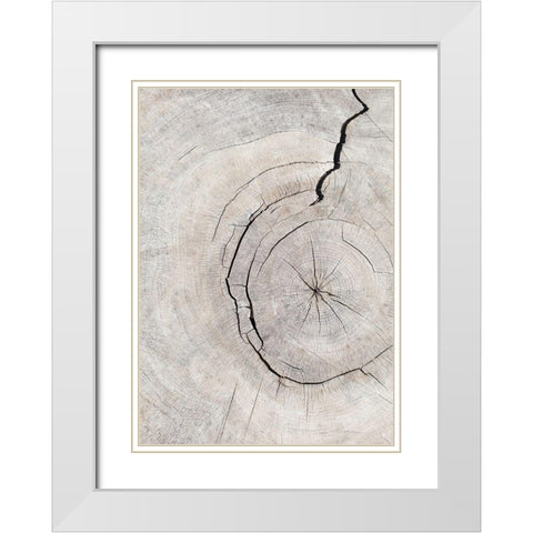 Pattern_Wood_2 White Modern Wood Framed Art Print with Double Matting by 1x Studio III
