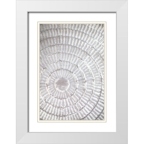 Patternplate_Grey_1 White Modern Wood Framed Art Print with Double Matting by 1x Studio III