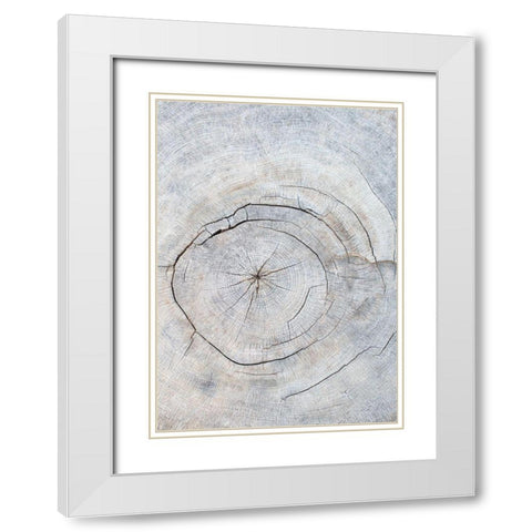 Pattern_wood_2 White Modern Wood Framed Art Print with Double Matting by 1x Studio III