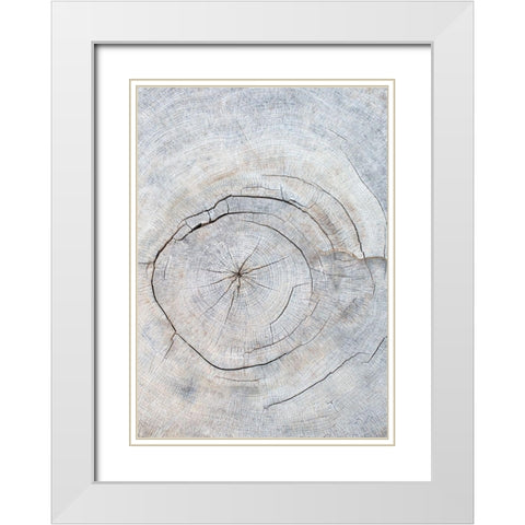 Pattern_wood_2 White Modern Wood Framed Art Print with Double Matting by 1x Studio III