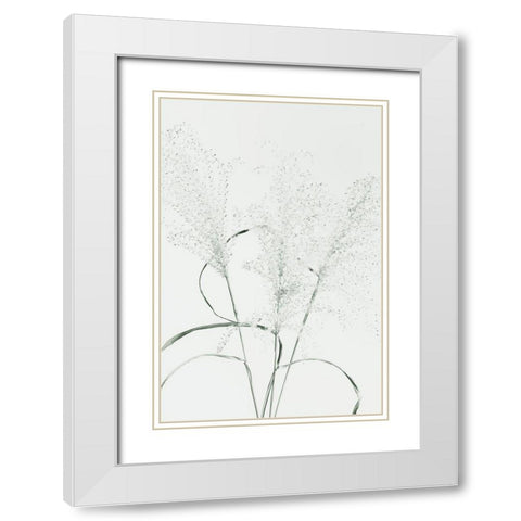 Dried Grass_green White Modern Wood Framed Art Print with Double Matting by 1x Studio III