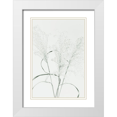 Dried Grass_green White Modern Wood Framed Art Print with Double Matting by 1x Studio III