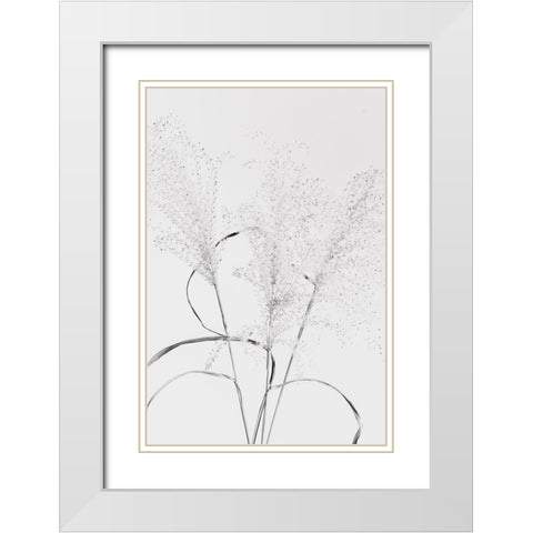 Dried Grass_blackawhite White Modern Wood Framed Art Print with Double Matting by 1x Studio III