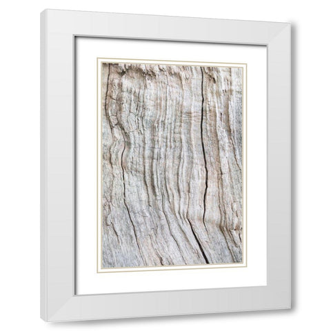Wood Pattern White Modern Wood Framed Art Print with Double Matting by 1x Studio III