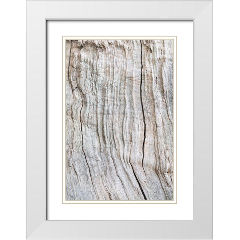 Wood Pattern White Modern Wood Framed Art Print with Double Matting by 1x Studio III