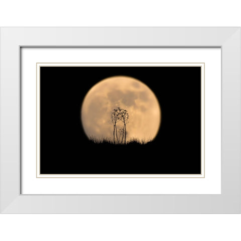 Look at the moon! White Modern Wood Framed Art Print with Double Matting by Bar Or, Eyal