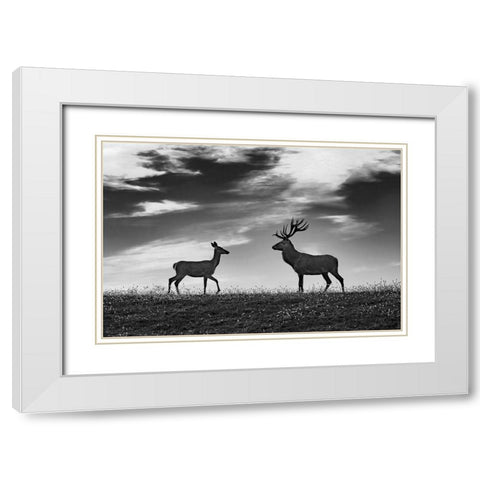 Meeting White Modern Wood Framed Art Print with Double Matting by Kravanja, Jure