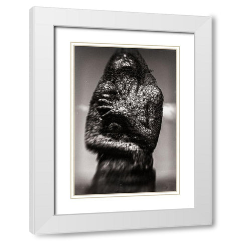 Cocoon White Modern Wood Framed Art Print with Double Matting by Bousca, Bogdan