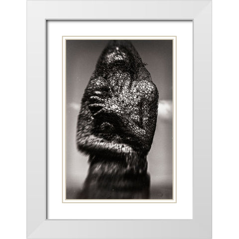 Cocoon White Modern Wood Framed Art Print with Double Matting by Bousca, Bogdan