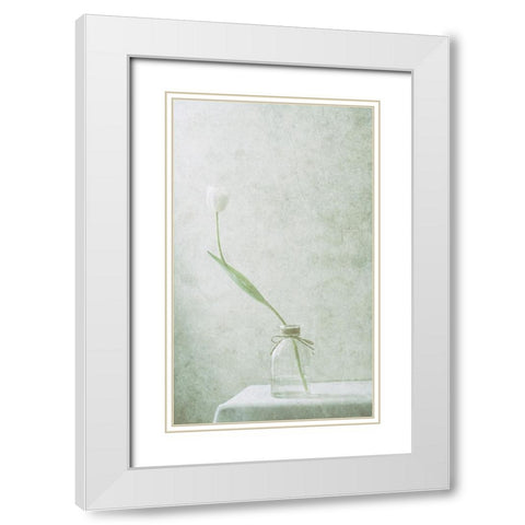 Ephemeral White (2) White Modern Wood Framed Art Print with Double Matting by Devos, Delphine