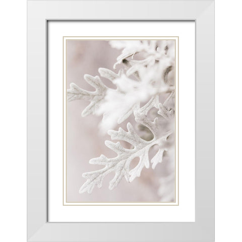 Silver Leaves No 2 White Modern Wood Framed Art Print with Double Matting by 1x Studio III