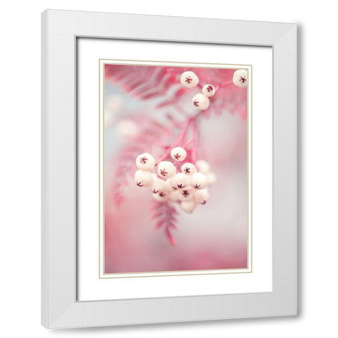 Berries on a twig No2 White Modern Wood Framed Art Print with Double Matting by 1x Studio III