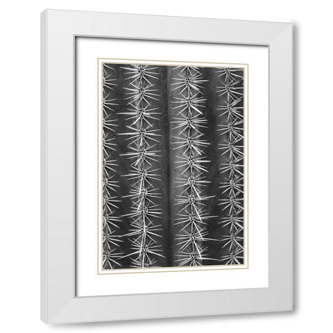Cactus black and white White Modern Wood Framed Art Print with Double Matting by 1x Studio III