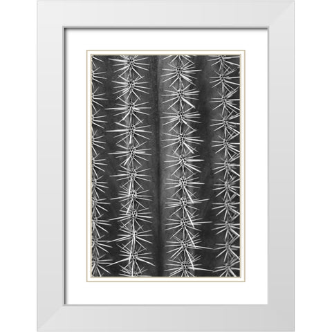 Cactus black and white White Modern Wood Framed Art Print with Double Matting by 1x Studio III