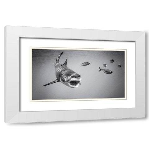Chase Game With Great White White Modern Wood Framed Art Print with Double Matting by Rebro, Marcel