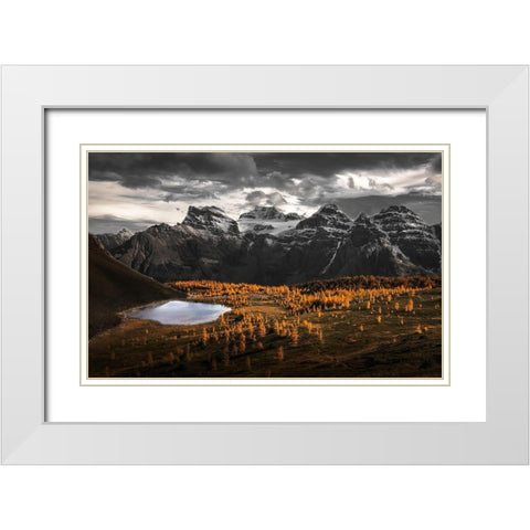A Burst Of Gold In Larch Valley White Modern Wood Framed Art Print with Double Matting by G, May