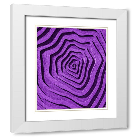 Purple Maze White Modern Wood Framed Art Print with Double Matting by Pearson, Wayne