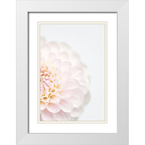 Pink Flower No2 White Modern Wood Framed Art Print with Double Matting by 1x Studio III