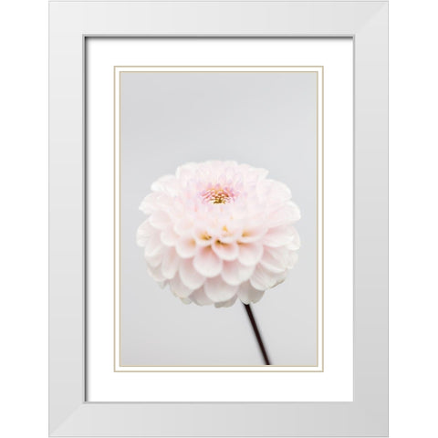 Pink Flower No3 White Modern Wood Framed Art Print with Double Matting by 1x Studio III
