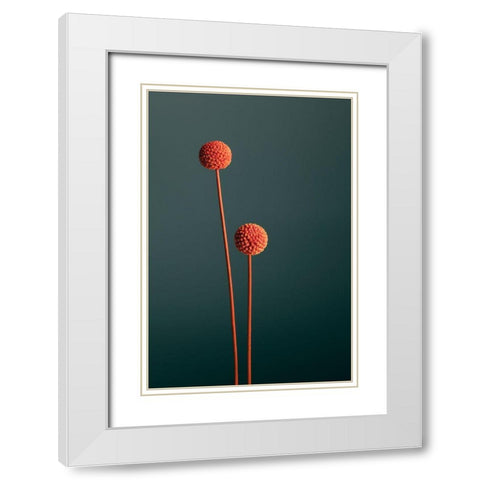 Orange Seed Capsules White Modern Wood Framed Art Print with Double Matting by 1x Studio III