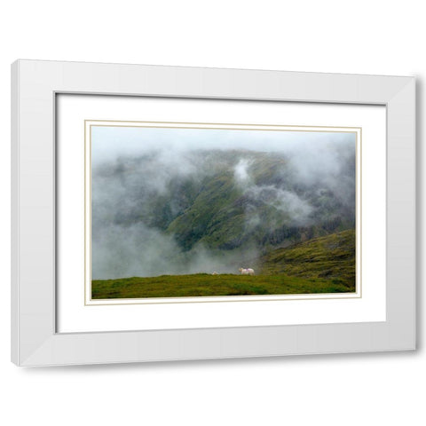 Sheep In The Clouds White Modern Wood Framed Art Print with Double Matting by Allen, Elizabeth