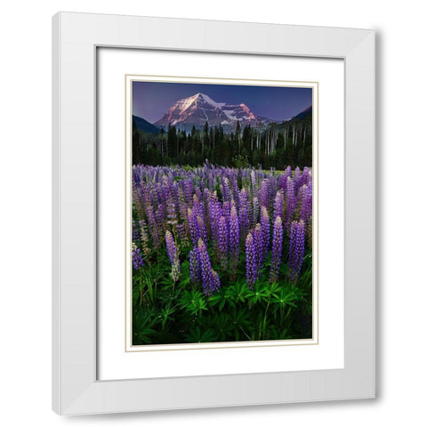 Mt Robson White Modern Wood Framed Art Print with Double Matting by Poushkina, Marina