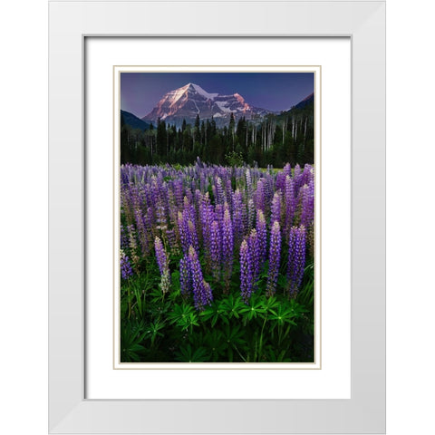 Mt Robson White Modern Wood Framed Art Print with Double Matting by Poushkina, Marina
