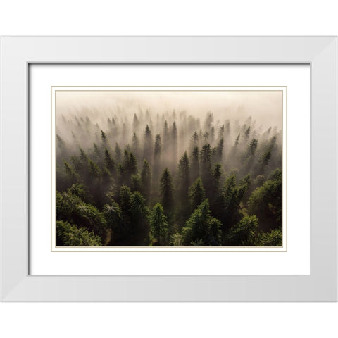The Army Of Firs White Modern Wood Framed Art Print with Double Matting by Ioan Ovidiu, Lazar