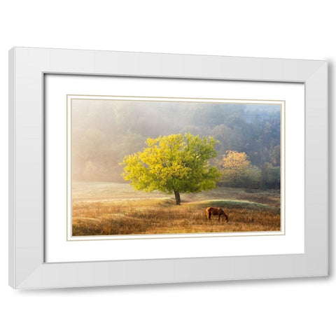 Tree Of Life White Modern Wood Framed Art Print with Double Matting by Prioteasa, Sebastian
