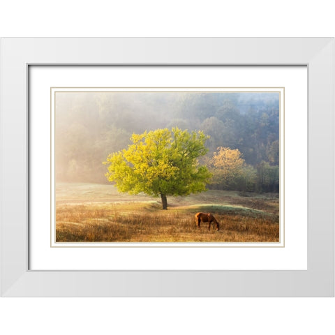 Tree Of Life White Modern Wood Framed Art Print with Double Matting by Prioteasa, Sebastian