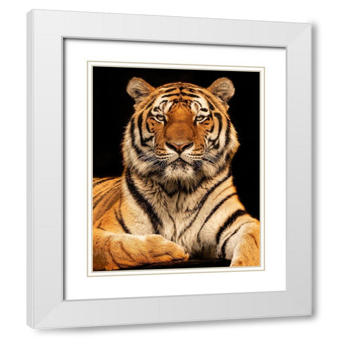 I C U White Modern Wood Framed Art Print with Double Matting by Zimmermann, Jorg