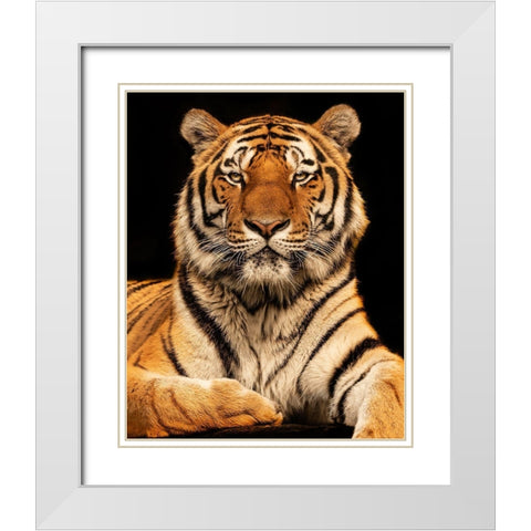 I C U White Modern Wood Framed Art Print with Double Matting by Zimmermann, Jorg