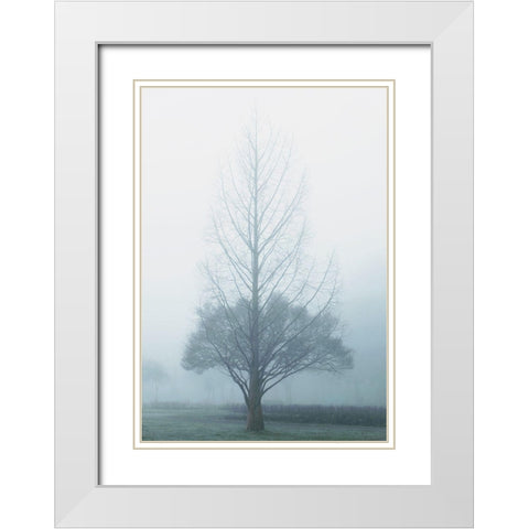 Two Trees White Modern Wood Framed Art Print with Double Matting by Allen, Elizabeth