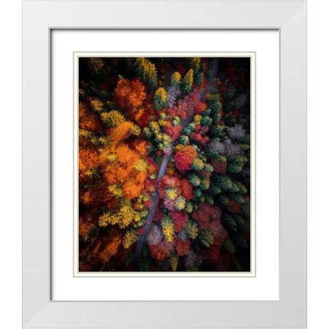 Fall stories White Modern Wood Framed Art Print with Double Matting by Razvan