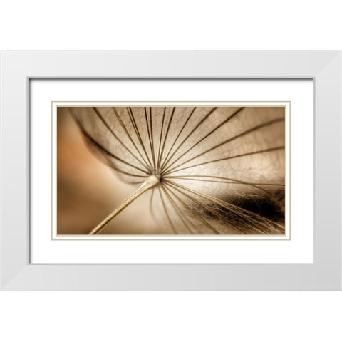 Nature blood vessels White Modern Wood Framed Art Print with Double Matting by Pessach, Kobbie