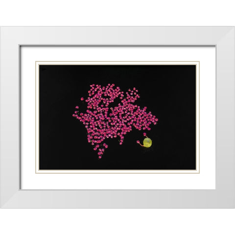 Harvesting water lilies White Modern Wood Framed Art Print with Double Matting by Tanvir