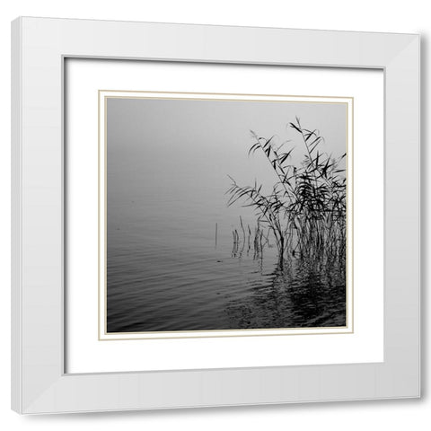 Mist over the lake 2021 White Modern Wood Framed Art Print with Double Matting by Riis, Poul-Erik